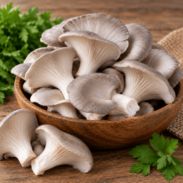 Fresh Grey Oyster Mushroom