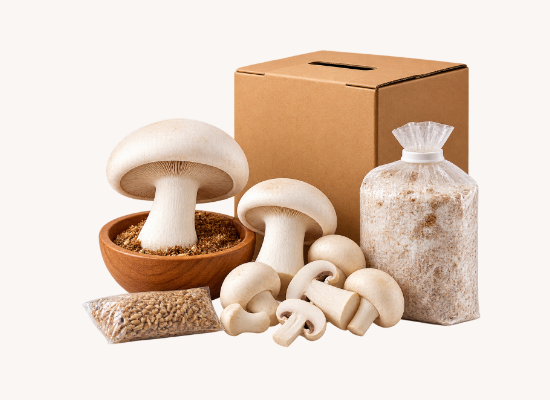 Grow your own kit