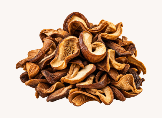 Dried Mushroom