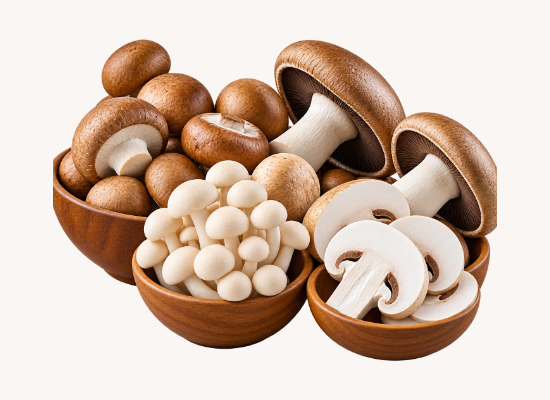 Button Mushroom